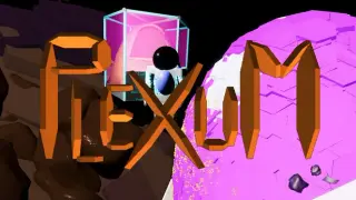plexum