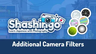 Additional Camera Filters - Switch