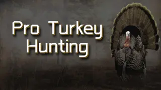 Pro Tukey Hunting