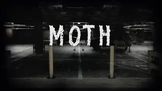 Moth