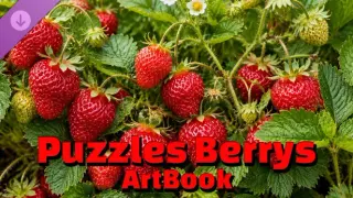 Puzzles Berrys Artbook