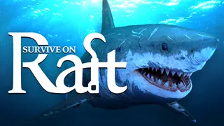 Survive on Raft