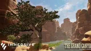 The Grand Canyon VR Experience
