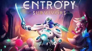 Entropy Survivors