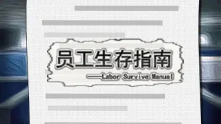 LaborSurviveManual