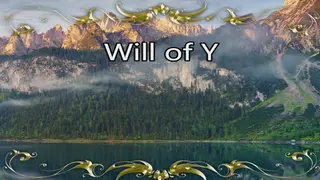 Will of Y