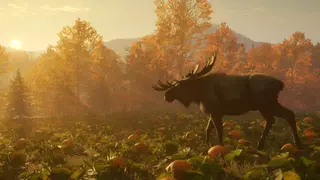 theHunter: Call of the Wild - New England Mountains