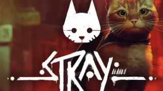 Stray - Switch
