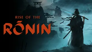 Rise of the Ronin