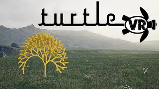 Turtle VR