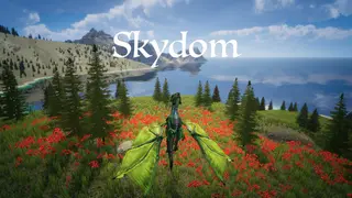 Skydom
