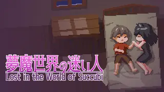 Lost in the World of Succubi