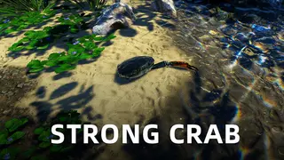 Strong Crab
