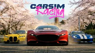 CarSim Racing