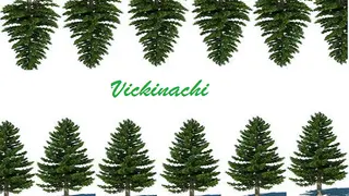 Vickinachi
