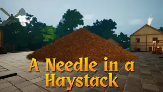 A Needle In a Haystack