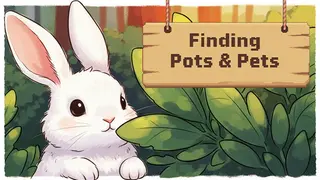 Finding Pots & Pets