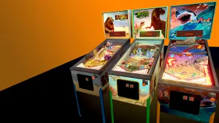 Wild Pinball Bundle - PS5