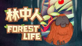 Forest Life