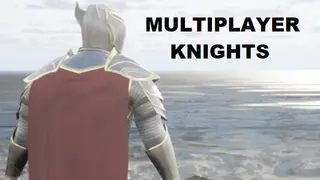 MULTIPLAYER KNIGHTS
