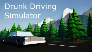Drunk Driving Simulator