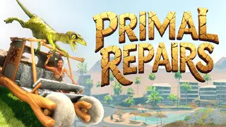 Primal Repairs