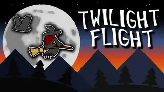 Twilight Flight