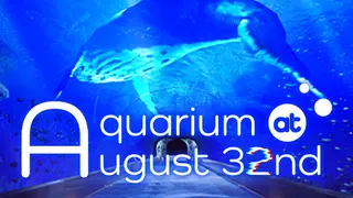 Aquarium at August 32nd