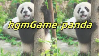 hgmGame-panda