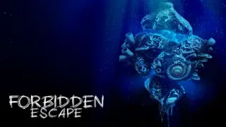Forbidden Escape