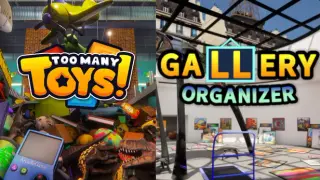 Too Many Toys X Gallery Organizer