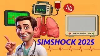SimShock2025