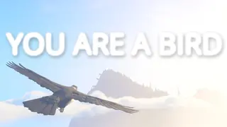 You Are A Bird
