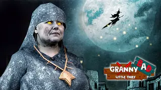 Bad Granny Little Thief