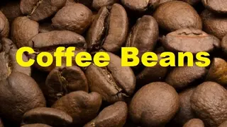 Coffee Beans