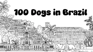 100 Dogs in Brazil