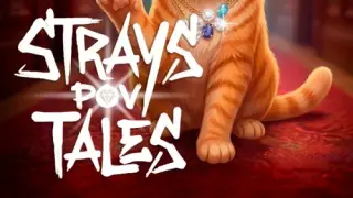 Strays POV Tales - Switch