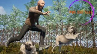 Pug and Seek