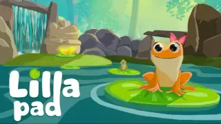 Lillapad