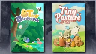 Tiny Birdtopia & Tiny Pasture