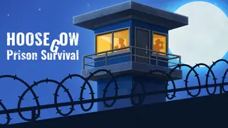 Hoosegow: Prison Survival