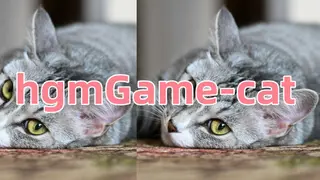 hgmGame-cat