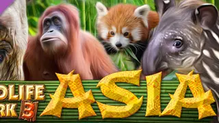 Wildlife Park 3 - Asia