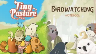 Tiny Pasture & Birdwatching Notebook