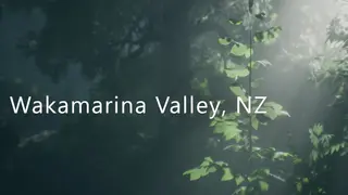 Wakamarina Valley, New Zealand