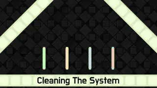 Cleaning The System