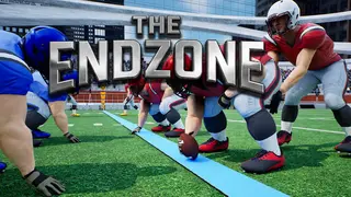 The Endzone