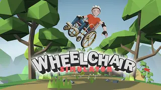 Wheelchair Simulator