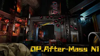 OP. After-Mass N1