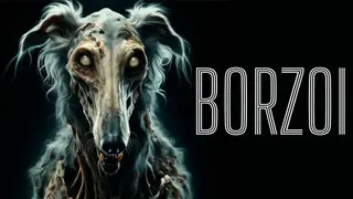 BORZOI